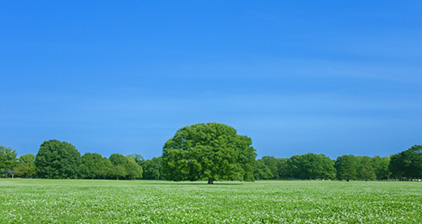 グリーンロジスティクスとは?