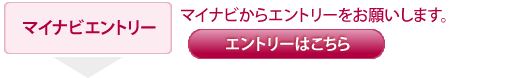 2024年度卒採用の流れ